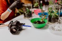 Kaboompics - DSLR Camera and Terrarium-Making Supplies on a White Workshop Table