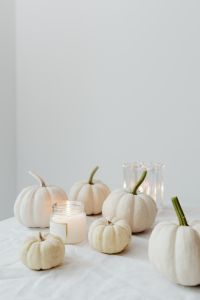 Kaboompics - White Mini Pumpkins and Candle in Soft Natural Light