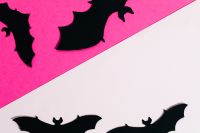 Kaboompics - Pink and White Bat Halloween Background