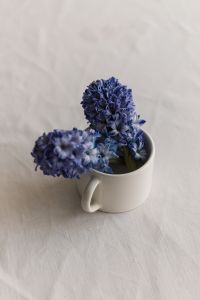 Kaboompics - White Cup with Blue Hyacinth Blooms in a Minimal Linen Still Life
