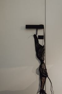 Kaboompics - Black Lace Bra Detail in Soft Light