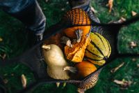 Kaboompics - Woven Basket of Pumpkins and Gourds Outdoors