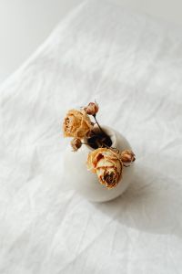 Kaboompics - Small White Vase of Dried Roses on Linen for Minimalist Interior Decor