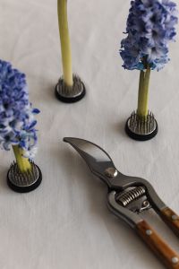 Kaboompics - Blue Hyacinth Floral Arrangement with Pruning Shears and Flower Frogs