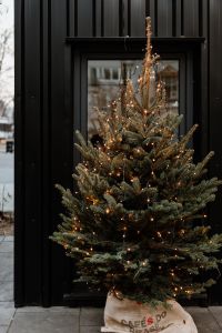 Kaboompics - Christmas tree with lamps in front of the black cabin