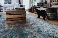 Kaboompics - Designer living room interior with a black cat