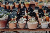 Kaboompics - Assorted Green Plants in Earthy Ceramic Pots