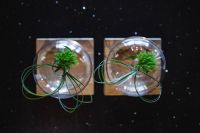 Kaboompics - Little grass bundle with a ribbon in a glass jar