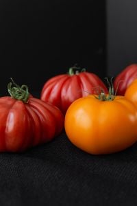 Kaboompics - Close-Up of Red and Orange Tomatoes on a Dark Background
