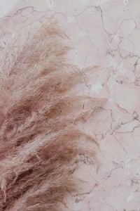 Kaboompics - Pink marble background and pampas grass