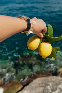 Kaboompics - Close-Up of Lemons and Citrus Leaves by the Sea