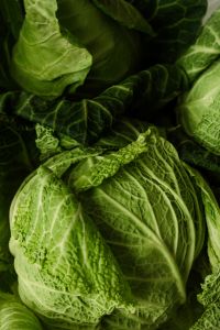 Kaboompics - Dense Green Cabbage Leaves in Macro Close-Up, Organic Food Texture