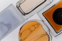 Kaboompics - Perfume Bottles Flat Lay Beauty Background