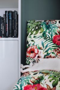 Kaboompics - Essential element to support a wall unit - the cat