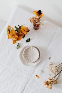Kaboompics - Overhead Dried Rose Styling with Ceramic Plates for Floral Product Photography