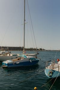 Kaboompics - Sailboats Moored in Trieste Harbor on the Adriatic Sea