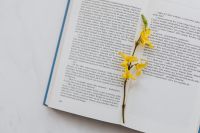 Kaboompics - Open Book and Single Yellow Flower on White Marble for Minimal Reading Aesthetics