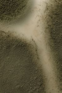 Kaboompics - Close-Up of Pale Agar Between Fuzzy Green Mold