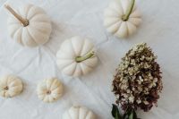Kaboompics - White Mini Pumpkins and Dried Hydrangea Viewed from Above