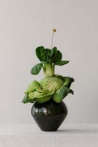 Kaboompics - Bok Choy and Savoy Cabbage in Black Ceramic Vessel, Minimal Food Still Life