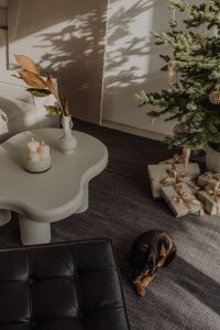 Kaboompics - Bright Christmas Living Room with Tree, Gifts and Dog