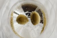 Kaboompics - Martini Glass with Green Olives and Bubbles