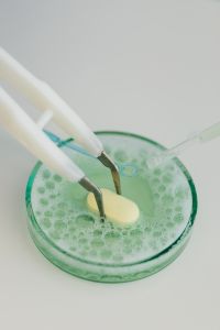 Kaboompics - School Science Project With Tweezers and Petri Dish