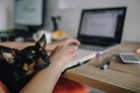 Kaboompics - Woman working on her laptop with her dog