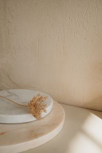 Kaboompics - Dried Floral Detail on a Round Stone Pedestal
