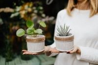 Kaboompics - Woman holds pilea & sukulent