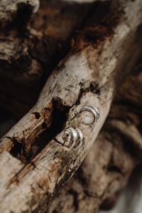 Kaboompics - Vertical Silver Hoop Earrings on Rustic Driftwood