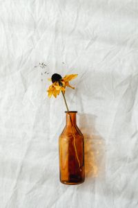 Kaboompics - Single Dried Yellow Flower on Amber Glass for Minimal Floral Styling
