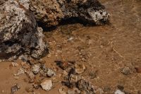 Kaboompics - Clear Shallow Water and Rocks Along the Shore