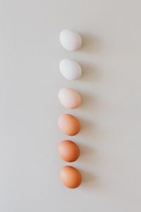 Kaboompics - Pastel Egg Color Gradient in a Vertical Line on a Light Gray Surface, Easter Food Styling