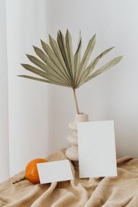 Kaboompics - Dried Palm Frond and Blank Business Card with Orange Fruit on Beige Linen