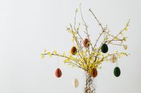 Kaboompics - Easter with Forsythia