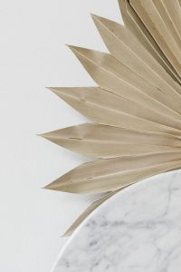 Kaboompics - Dried Palm Leaf Fan and Marble Detail for Neutral Botanical Editorials