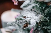 Kaboompics - Frosted Christmas Tree Branch With Pink Bauble