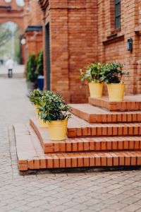 Kaboompics - Yellow Planters on Brick Steps along Manufaktura Pedestrian Walkway in Łódź