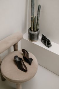Kaboompics - Brown Leather Shoes and Black Handbag Beside Cactus