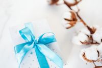 Kaboompics - Winter Gift Styling with Blue Satin Bow and Cotton Stems on Marble