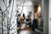 Kaboompics - Contemporary interior with catkins