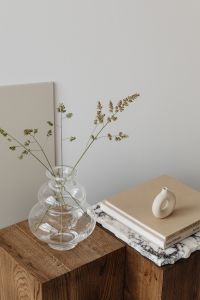 Kaboompics - Close-Up Glass Bubble Vase with Dried Stems, Art Books and Ring Sculpture