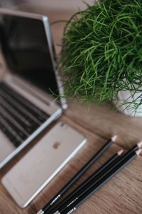 Silver Acer laptop on a wooden desk with a green plant, pencils and an Apple iPhone