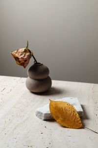 Kaboompics - Dried Rosebud in a Stacked Vase with a Golden Leaf on Stone