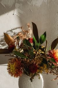 Kaboompics - Close-Up Textured Plaster Wall with Dried Foliage and Dark Green Leaves