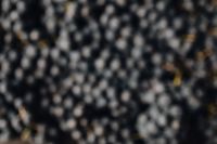 Kaboompics - Abstract Blur of Black Grapes