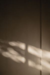 Subtle Beige Light and Shadow Backgrounds