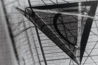 Kaboompics - Monochrome Abstract of Technical Drawing Instruments
