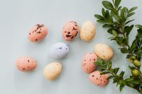 Kaboompics - Easter Eggs & Buxus - Boxtree - Boxwood